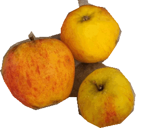 Äpfel
