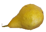 Birne