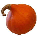 Hokkaidokürbis